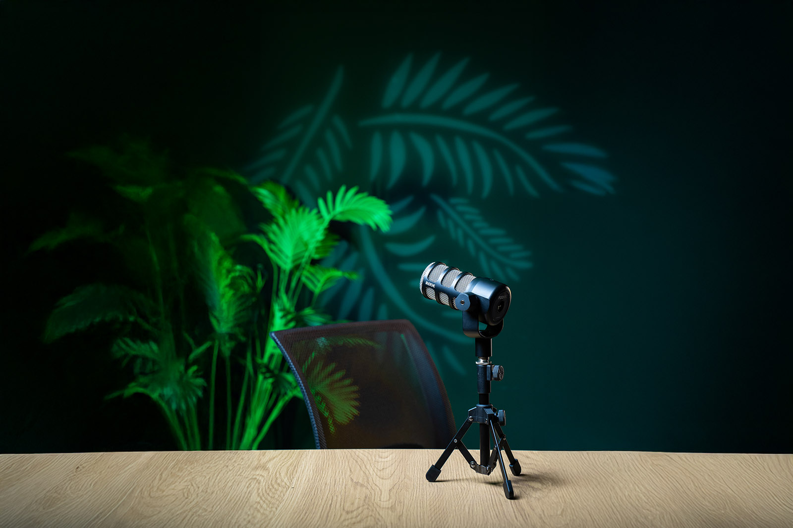 Studio capsule avec décor vert naturel, plantes verdoyantes et ambiance zen relaxante